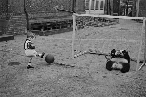 罗纳尔多十大经典外号,每一个都代表一段传奇