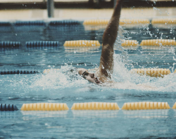 猫的游泳天赋：品种差异与训练方法全解析