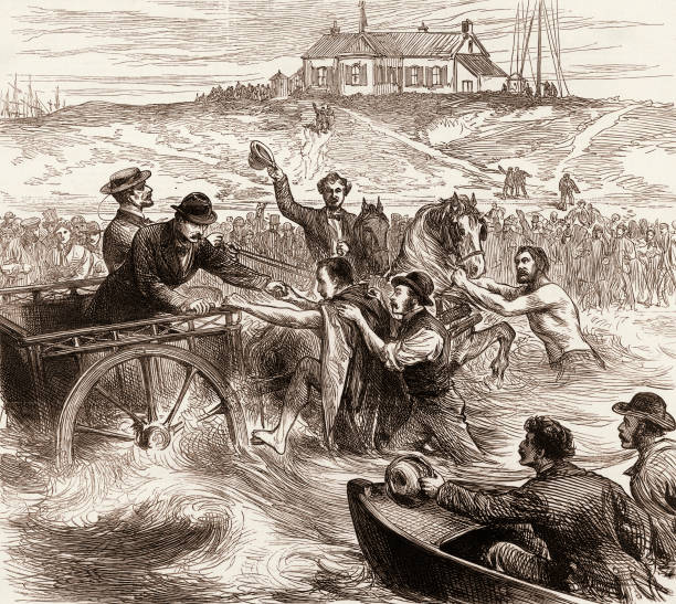 游泳等级表查询系统官网入口:快速查询与等级划分