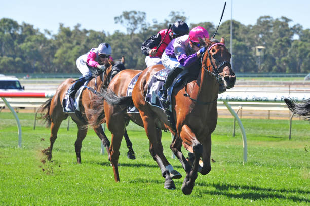 篮球比赛中的非法掩护：规则解读与判罚实例