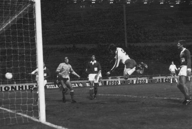 史中超教授最新动态：受邀担任国际学术组织顾问