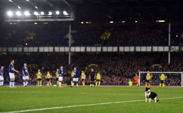 德甲上赛季积分榜全览：欧战席位与降级球队一览无余