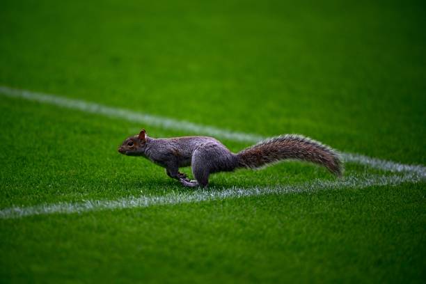 德甲保级大战实时比分：谁将逃离降级区？