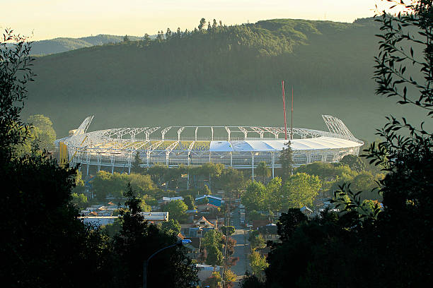 欧冠决赛2023：伊斯坦布尔之夜，谁能加冕欧洲之王？