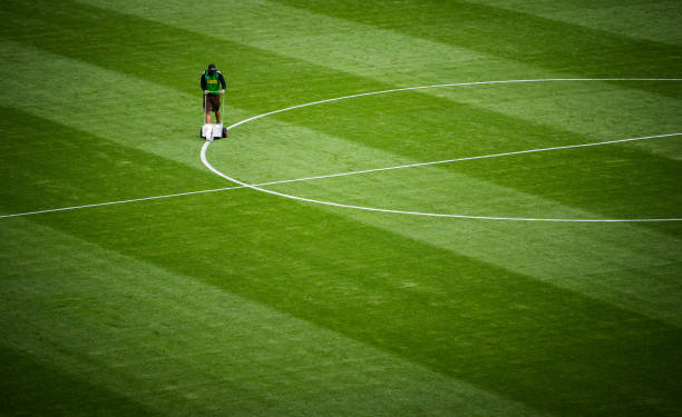 澳大利亚足球联赛（A联赛）水平如何？能否培养顶级球员？