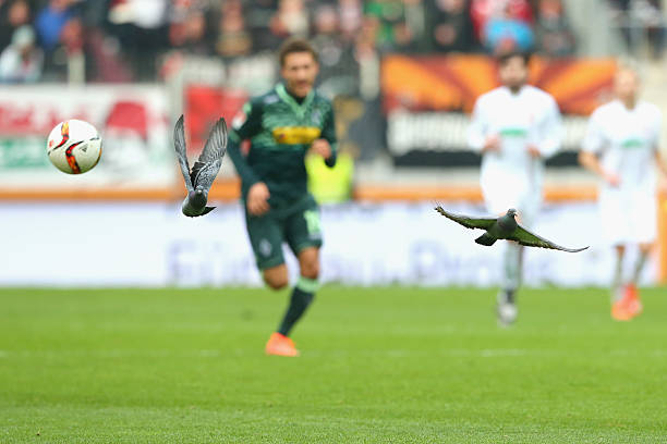 单场狂轰8球！那些令人难以置信的进球表演