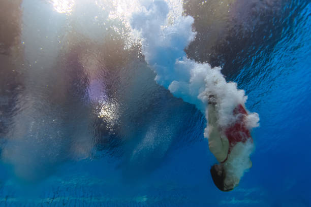 从奥运冠军到职场精英：吴敏霞的现任职务