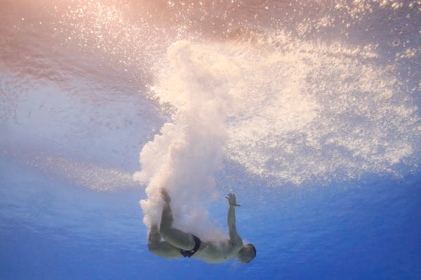 郭晶晶的面相分析：传统相术如何解读她的婚姻与家庭运势？