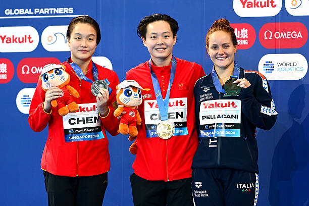 宁泽涛职业生涯回顾：辉煌与挑战并存