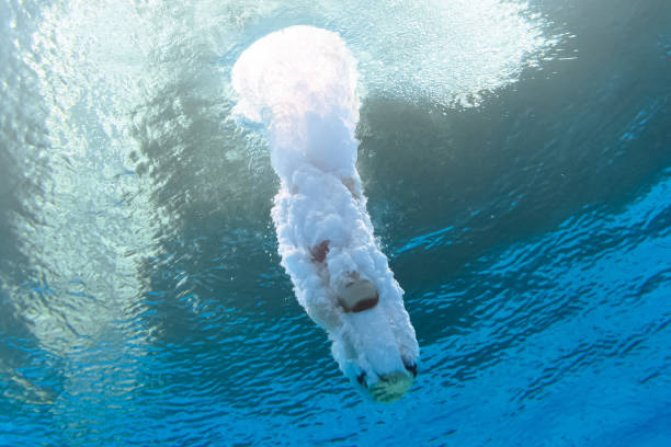 伏明霞的真实年龄曝光！网友：完全看不出来