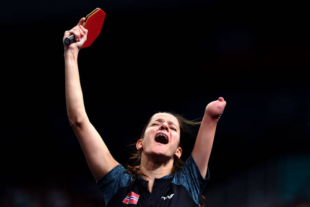 从胶皮到底板：详解乒乓球拍的核心配置