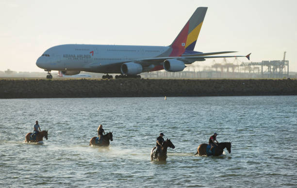 游泳装备指南：从浮板到脚蹼，工具名称一览