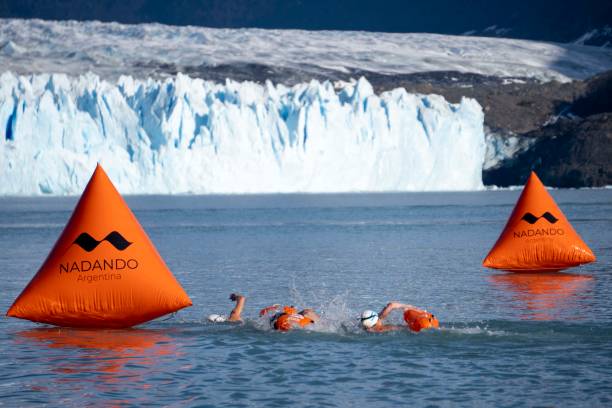 游泳拼音学习：从基础到进阶