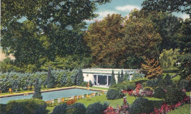 游泳教练证长什么样？费用多少？一文解答所有疑问