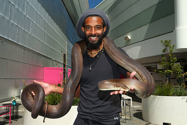 张之臻澳网之旅：中国男单新纪录正在酝酿