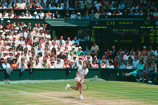 全球粉丝现象：网球之王的文化影响力