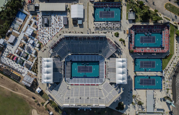 伊莲娜如何支持德约科维奇攀登网坛巅峰？